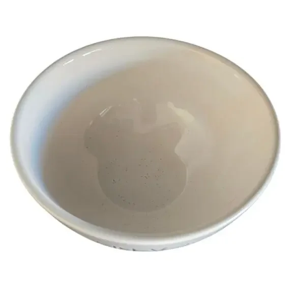 Rae Dunn EARLY BIRD Ceramic Bowl - Artisan Collection by Magenta (USED) - Picture 2 of 3